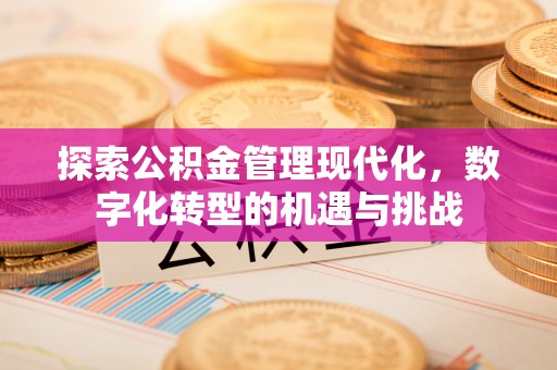 盘县探索公积金管理现代化，数字化转型的机遇与挑战