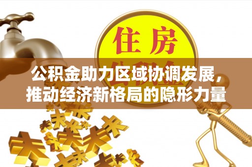 盘县公积金助力区域协调发展，推动经济新格局的隐形力量