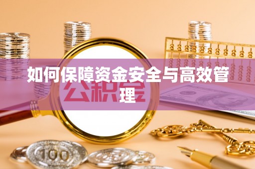 盘县如何保障资金安全与高效管理