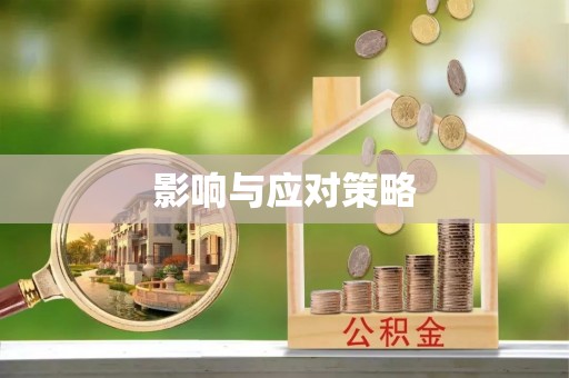盘县影响与应对策略