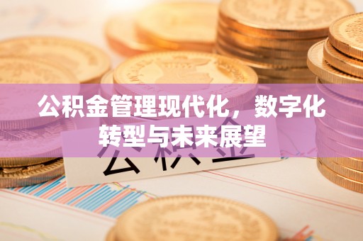 盘县公积金管理现代化，数字化转型与未来展望