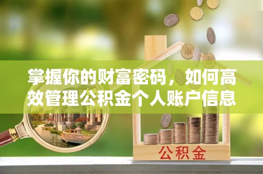 盘县掌握你的财富密码，如何高效管理公积金个人账户信息