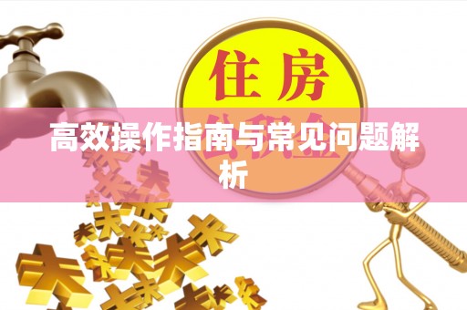 盘县高效操作指南与常见问题解析