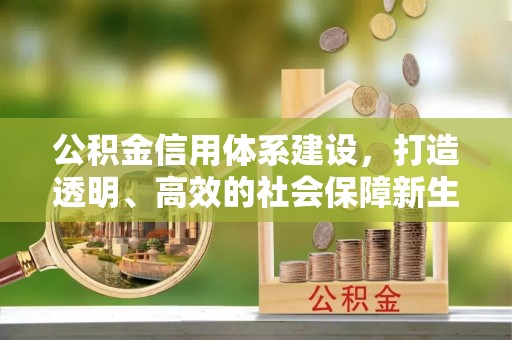 盘县公积金信用体系建设，打造透明、高效的社会保障新生态