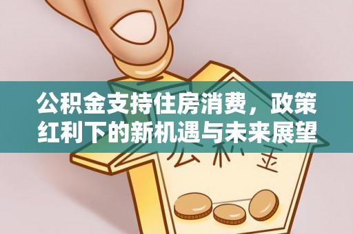 盘县公积金支持住房消费，政策红利下的新机遇与未来展望