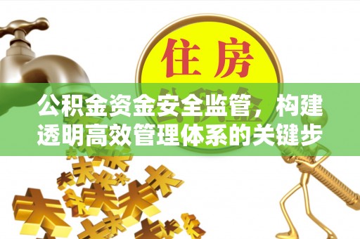 盘县公积金资金安全监管，构建透明高效管理体系的关键步骤