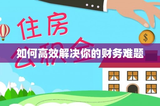 盘县如何高效解决你的财务难题
