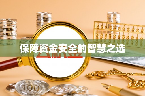 盘县保障资金安全的智慧之选