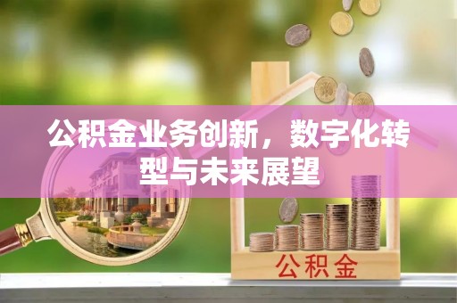 盘县公积金业务创新，数字化转型与未来展望