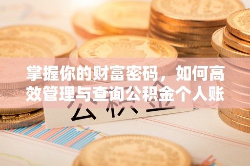盘县掌握你的财富密码，如何高效管理与查询公积金个人账户信息