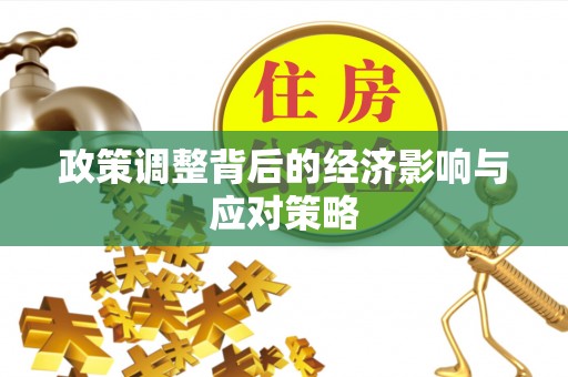 盘县政策调整背后的经济影响与应对策略