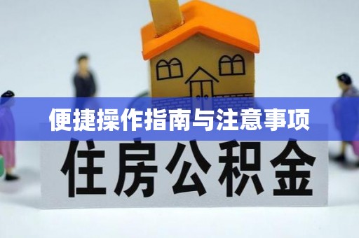盘县便捷操作指南与注意事项
